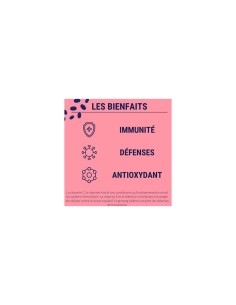 Formule Immunité - gélule -... 2