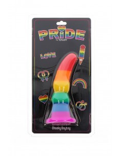 Plug arc en ciel Cheeky Boytoy - ToyJoy 2