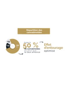 Huile CBD Chanvre 20% 2