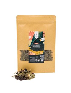 Tisane Maxi Boost 2
