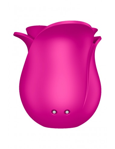 Stimulateur clitoridien Satisfyer Pro 2 Modern Blossom