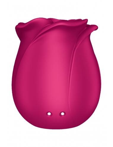 Stimulateur clitoridien Satisfyer Pro 2 Classic Blossom