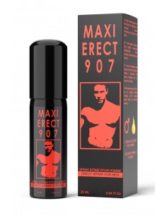 Maxi Erect 907 2