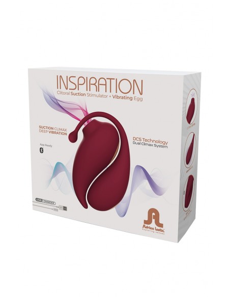 Oeuf vibrant et stimulateur clitoridien connectés Inspiration